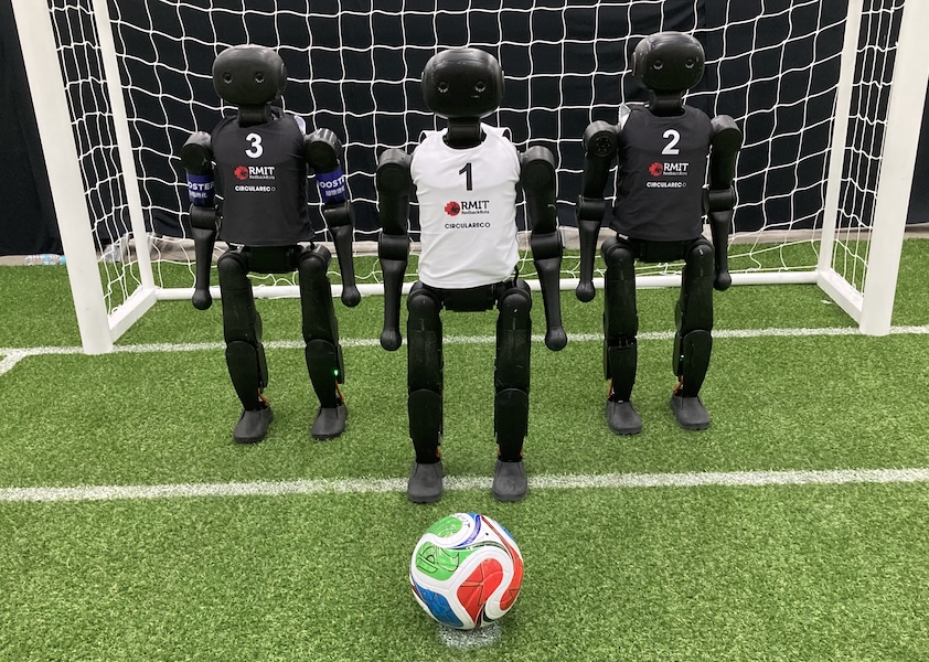 RedBackBots Robots (Booster)